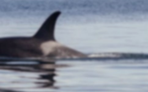 �L�~��������������