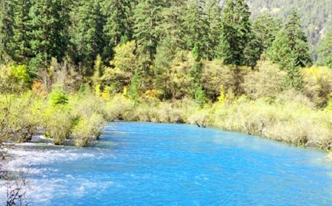 ��կ����ӛ���ġ����]��