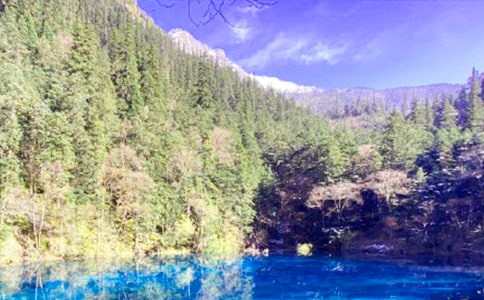 С�����M���������p�������ľ�կ��