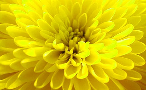 �K���ֹ������ջ��Ľ̳�