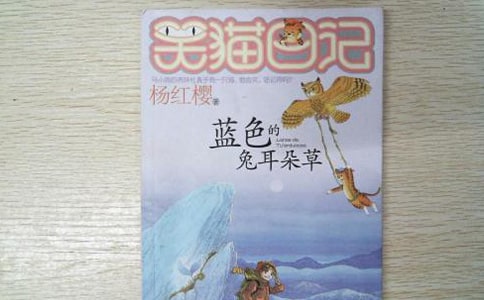 (���A)�{ɫ���ö�����x���