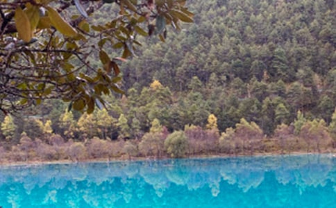 �P����������ӛ����