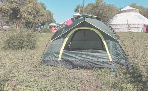 �y����¶�I��������