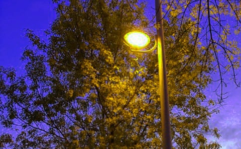 ����һ�K·�����ģ����x65ƪ��