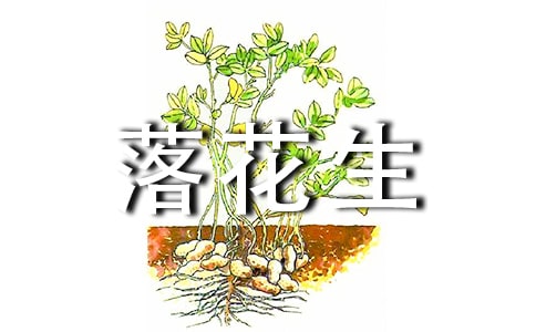 ���仨�����ڌ������������c