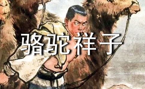 �������ӡ��ĵ�(15ƪ)