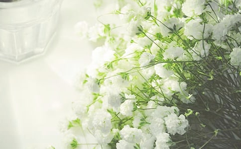 �M���Ǡ�������