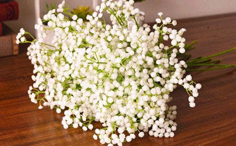 ��ή����P���M����