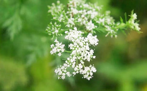 ��ϲ�g�M��������