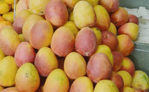 ����(y��u)�����l(xi��ng)��â������