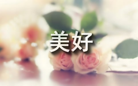 �P���������������