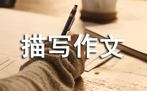 [����]��������茑����5ƪ