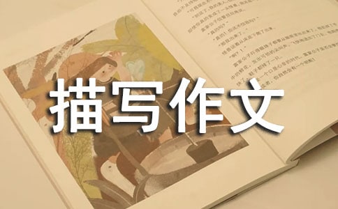 (精選)心理描寫作文