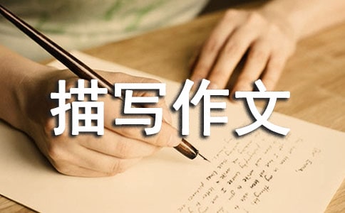 [�ϼ�]��������茑����10ƪ