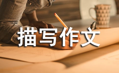 ��������茑����6ƪ[����]