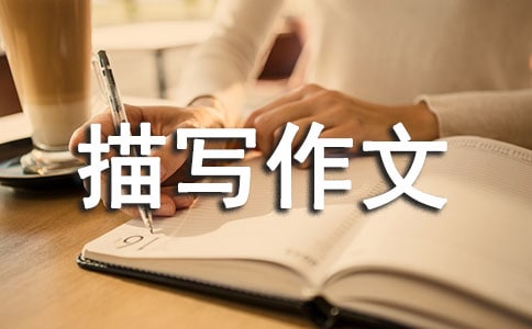 �����T�������茑����