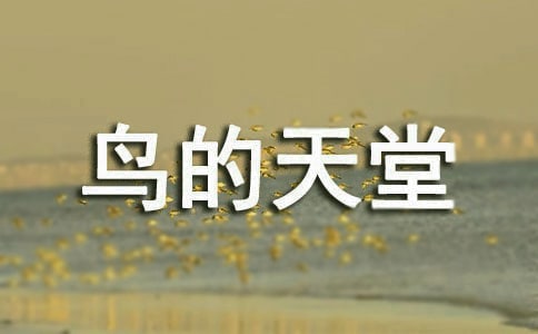 《鳥的天堂》心得體會