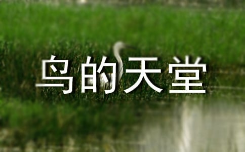 �B�����Þ��}���n������