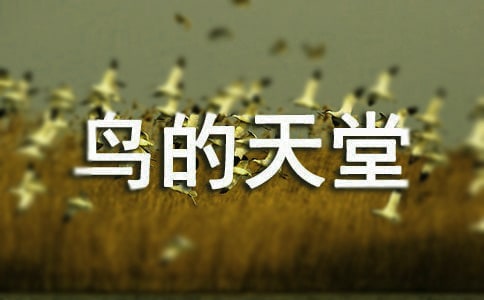 �B���������ġ����A��