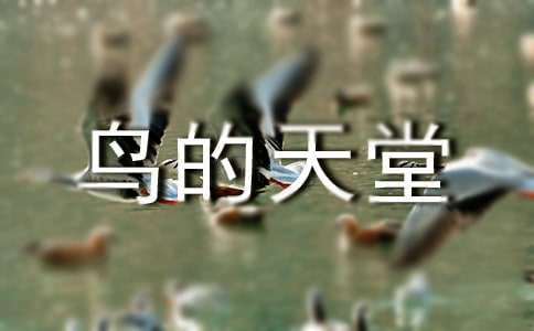 �B������С�W����