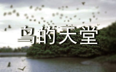 鳥(niǎo)的天堂作文