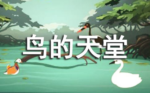 ���B(ni��o)����������
