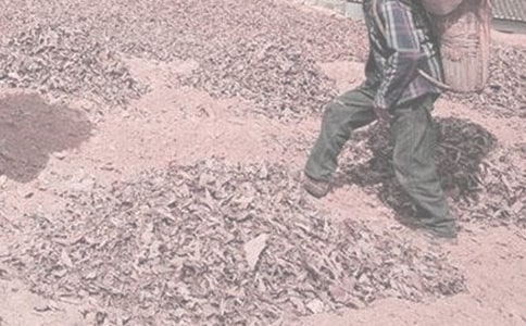 �y���ČW�r�������