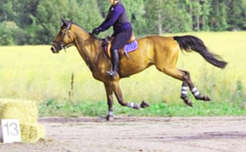 �T�R���ąR����ƪ