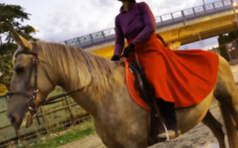 �T�R���ܵ�����