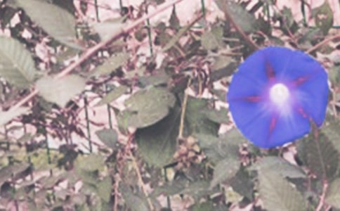 �����x���^�젿ţ������46ƪ