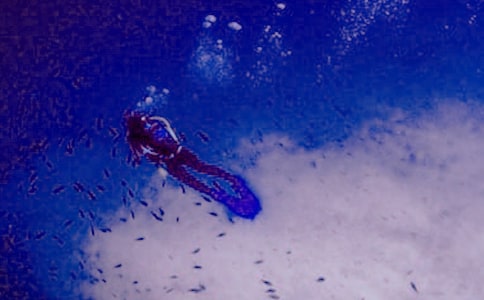 �y������ٝ�ˮ����