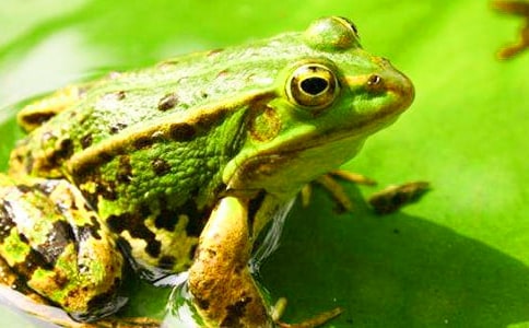 ���ܻؼ�100������