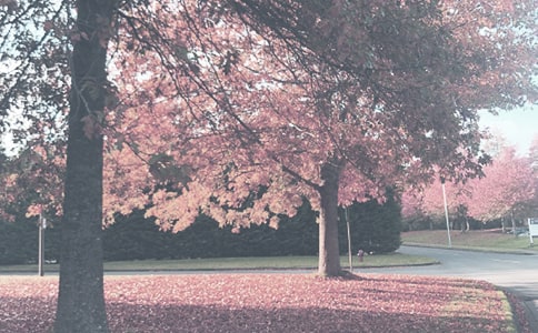 �������＾���ă��x��2ƪ��