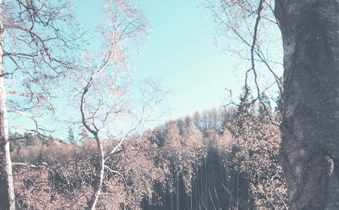 С�W(xu��)�����ҵ��＾