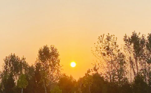 �����ճ����������ӛ