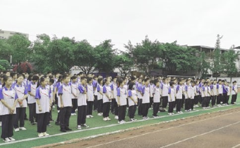 ����ɢ�W��Y����5ƪ