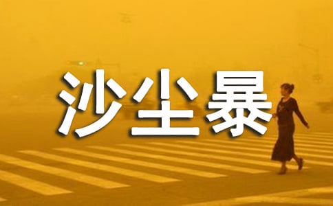 可怕的沙塵暴一年級優秀作文