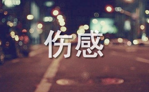 ������и��~