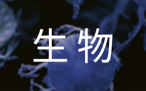 ����朵���Ҫ������