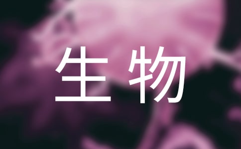 �����������늡���x�𰸾��x