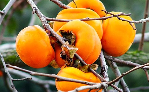�����Ӻ˵�200������