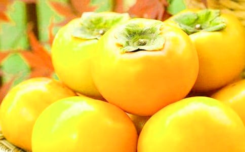 �������������15ƪ