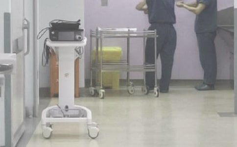 ���g���ĵ��w��