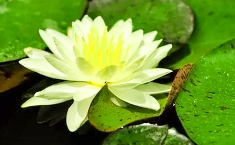 ��ˇ˯ɏ�������D��