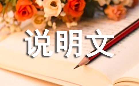 關于寫說明文的作文300字匯編5篇