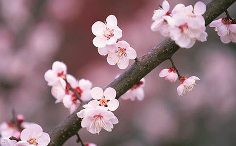 �һ����꼉����