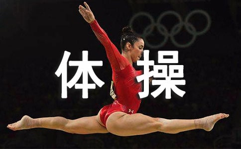 �V���w�ٵĽ̌W(xu��)�ĵ��w��(hu��)