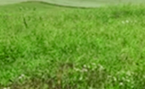 ���꼉���M��Ұ���ģ�ͨ��17ƪ��