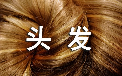 �P���茑�^�l�����ֳ��Z