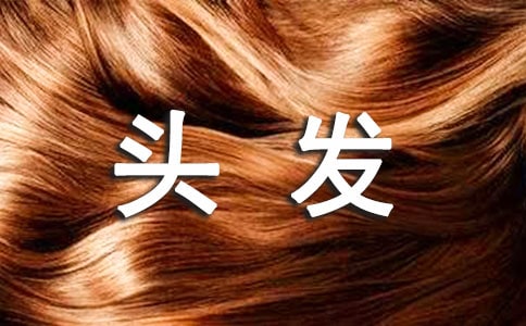 媽媽的頭發作文精選15篇